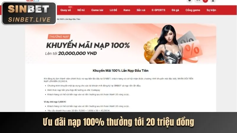 Hoàn trả hàng ngày 5mb